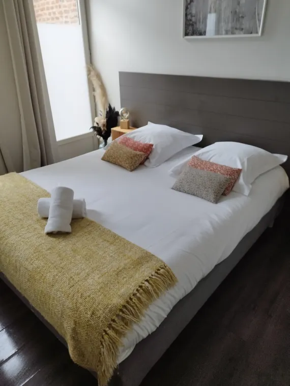 Nettoyage complet d'un Air BNB à Lille, Lille, Net OP