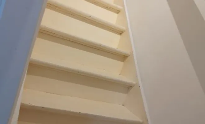 Nettoyage escalier à Lille, Lille, Net OP